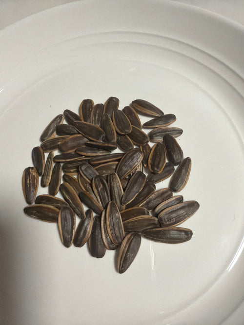 CoConut Sunflower Seeds